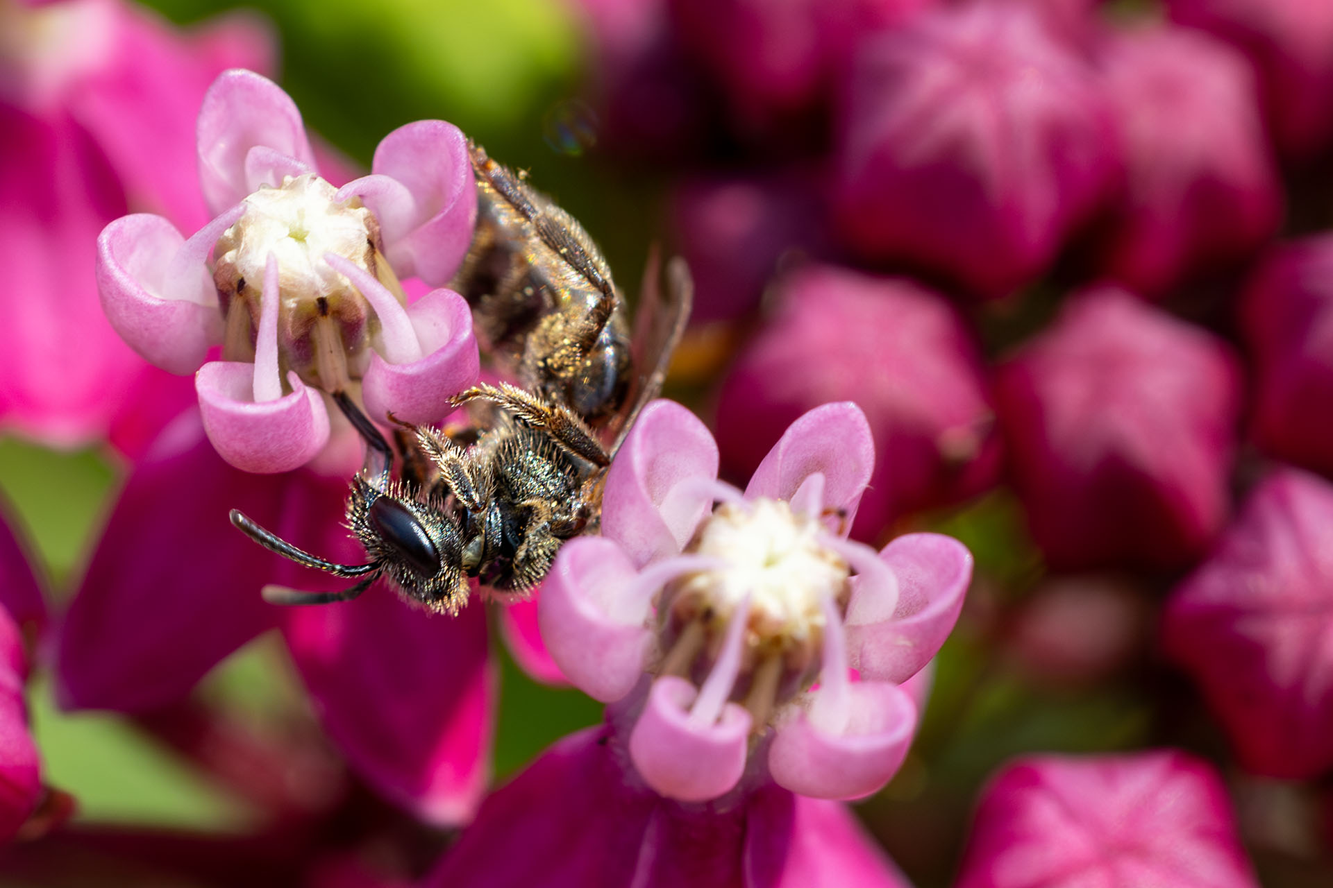 IMG 0592 Enhanced NR copy 1